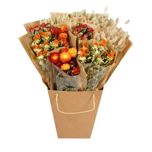 Droogbloemen Mono Mix - Oranje