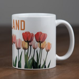 Holland souvenir mok set van 2 stuks - oranje en rood
