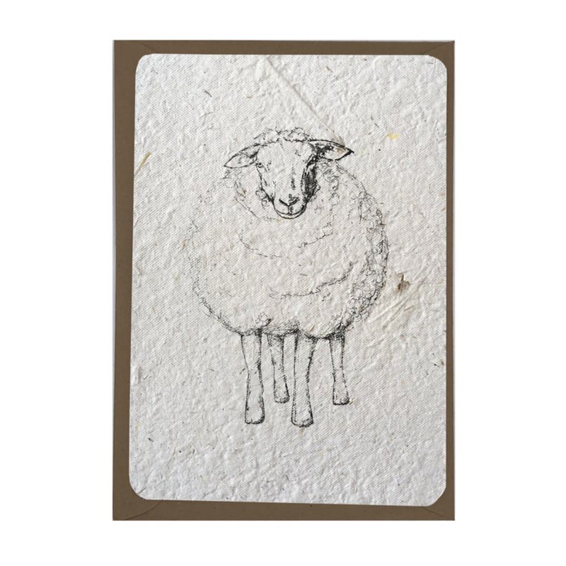 schaap