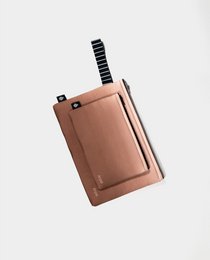 Small châtaignier de la pochette