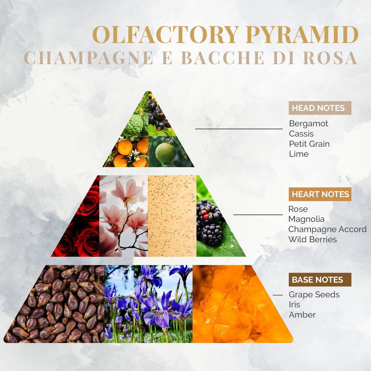 Fragancia para champán y corchetes de Rosa Spray 75ml