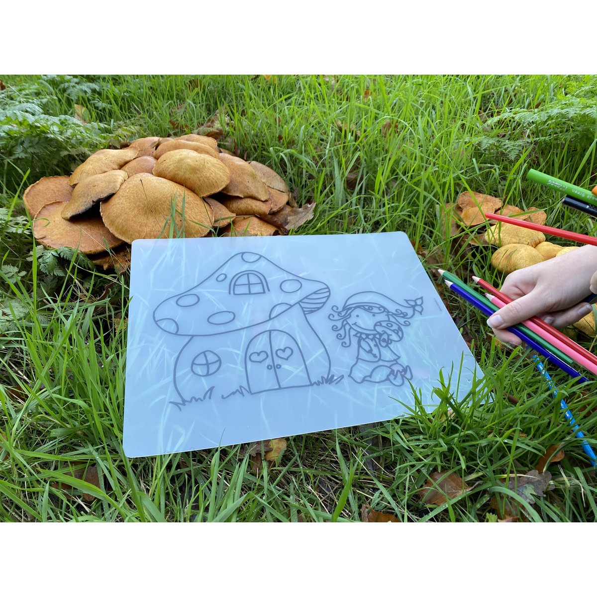 Herkleurbare placemat Paddestoel en Kaboutermeisje