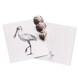 A set of cards featuring a hand-drawn illustration of a spoonbill bird. The cards are part of a collection called "Cards with Pictures".