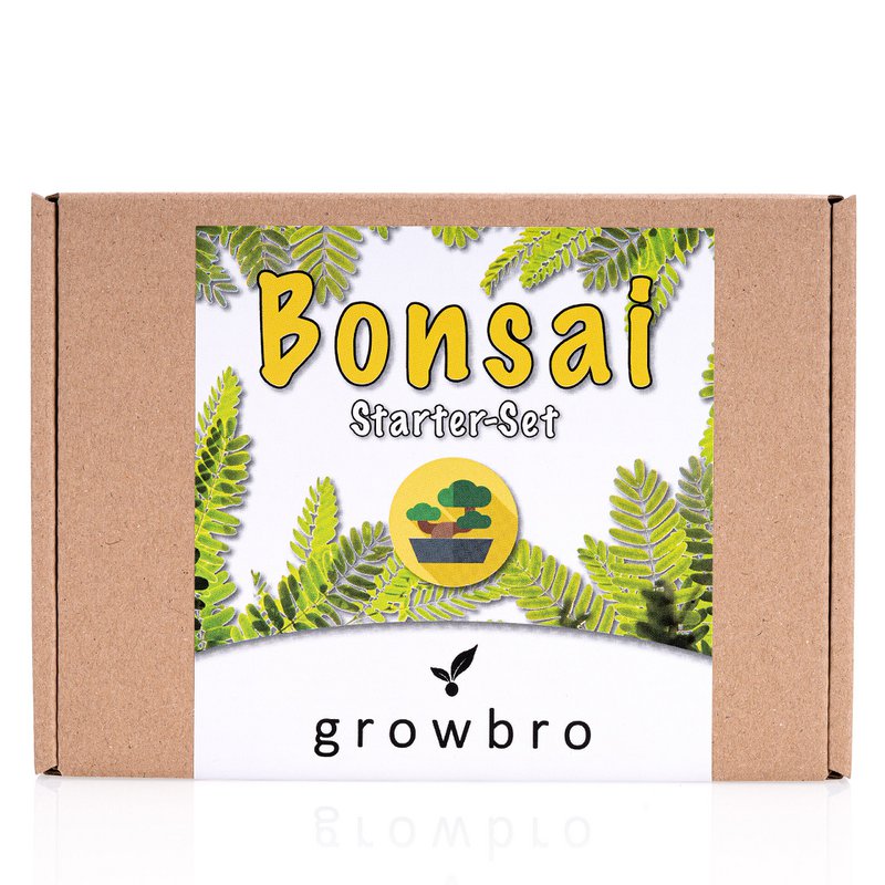 Bonsai - growbro - Kit de culture Wisteria avec cartes climatiques, cultivez votre propre bonsaï bro, cadeaux pour femmes et hommes, kit de démarrage bonsaï