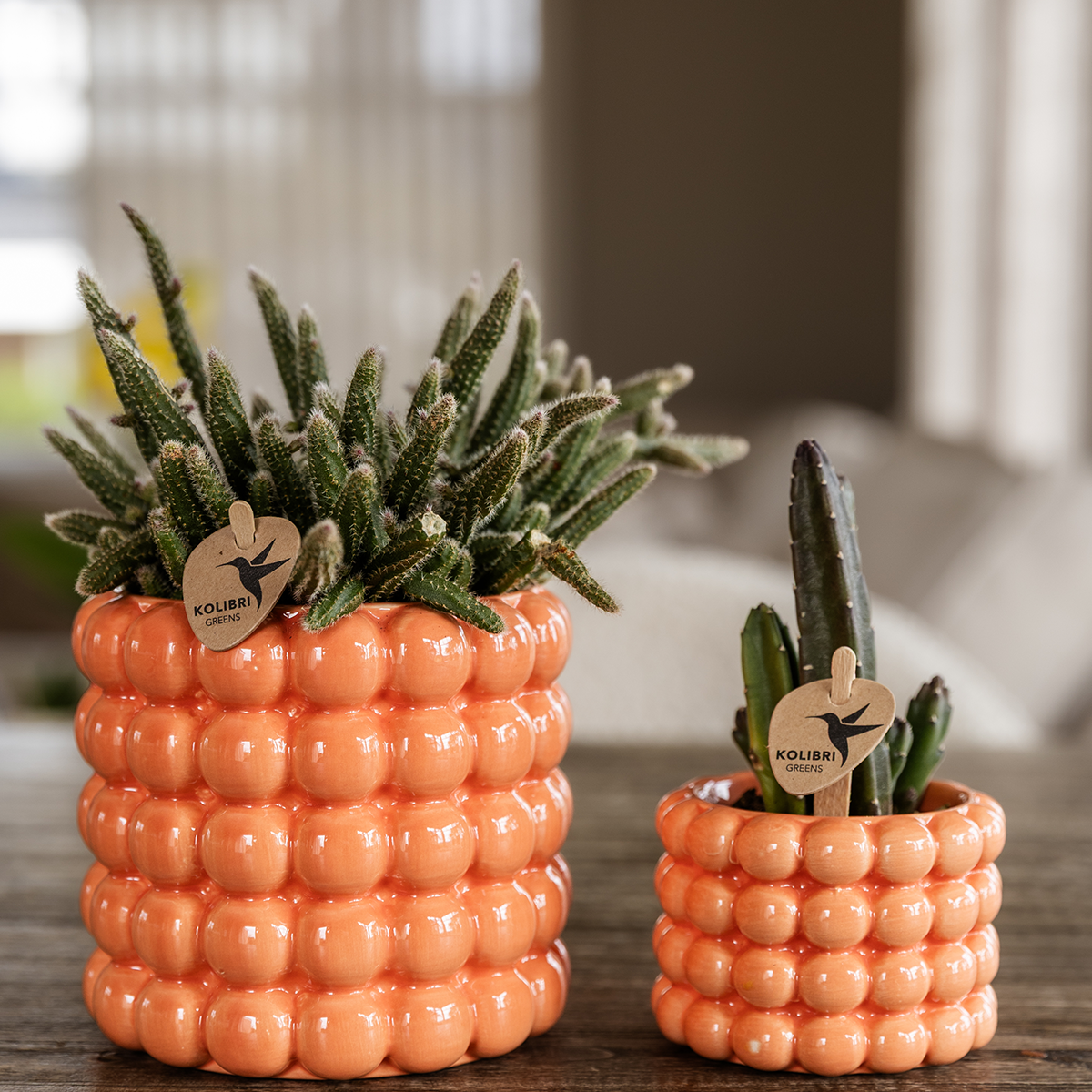 Kolibri Home | Mohn Sierpot - Orange - Ø9cm