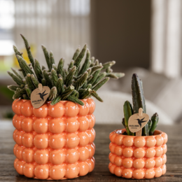 Kolibri Home | Mohn Sierpot - Orange - Ø9cm