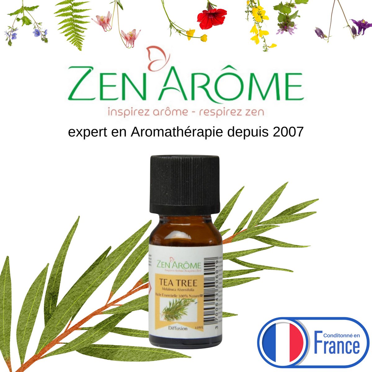 Aceite esencial - Árbol del té - 10 ml - Uso para difusión - Envasado en Francia