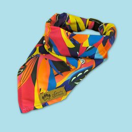 Collier et bandana Panache