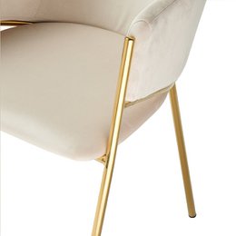 Dalila eetstoelen [set van 2] [Velvet]
