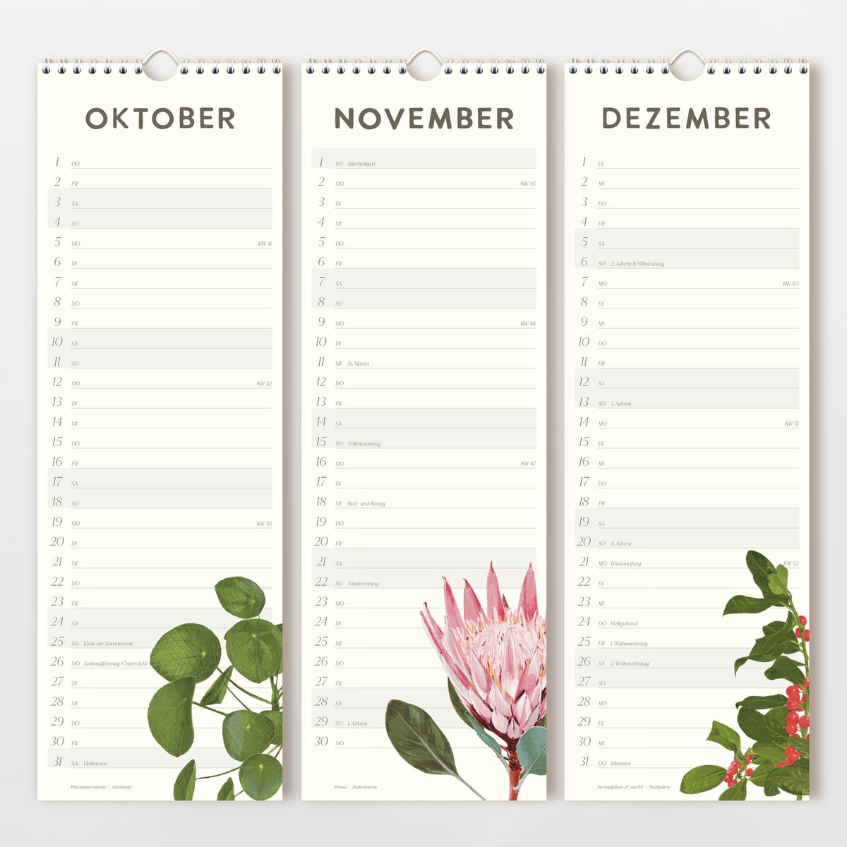 Wandkalender 2026 mit handgezeichneten Blumen, FSC