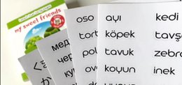 The Multilingual Children's Book: Spanish + 3 other languages of your choice
