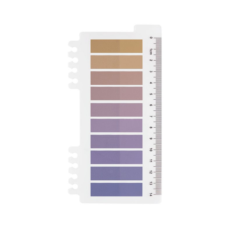 Champagne Plum  | Ordinate Sticky Notes | Transparent Haftnotizen zum Markieren | Haftstreifen | Seitenmarkieren Bürobedarf
