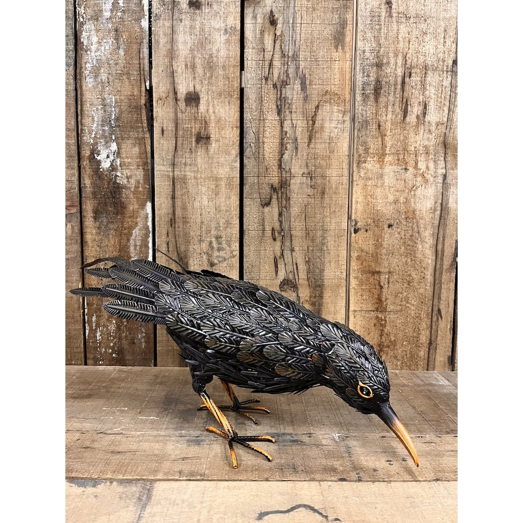 Corbeau de fer, 67x21x929cm, 1,5kg