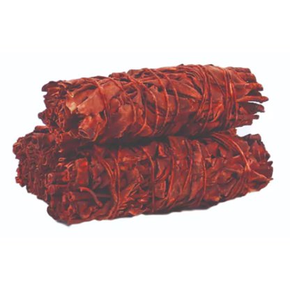 Sauge Sang-Dragon 10cm pour Rituels de Protection