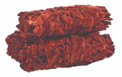 Drakenbloed Salie 10 cm voor beschermingsrituelen