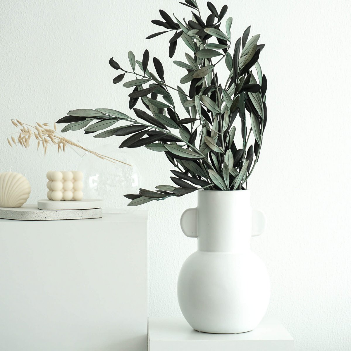 Preserved olive branches green from Italy