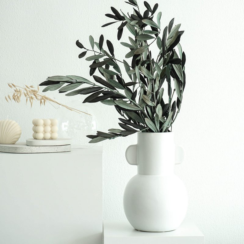Preserved olive branches green from Italy
