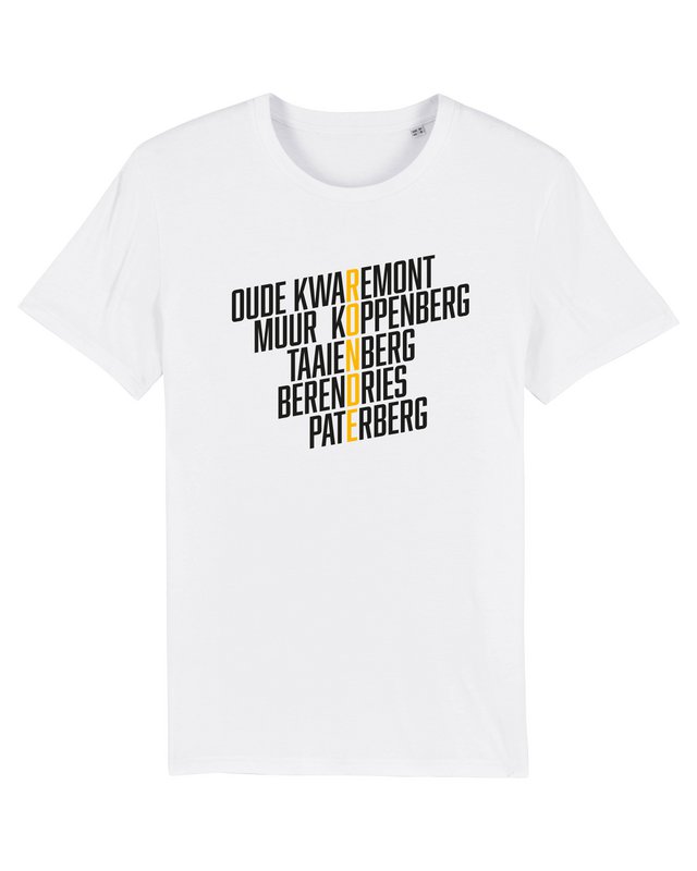 T-shirt da ciclismo del Giro delle Fiandre