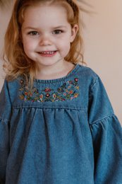 Marina Denim Dress