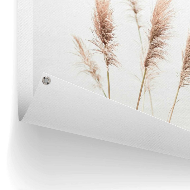 Tuinposter Tuinposter Pampas 80x60