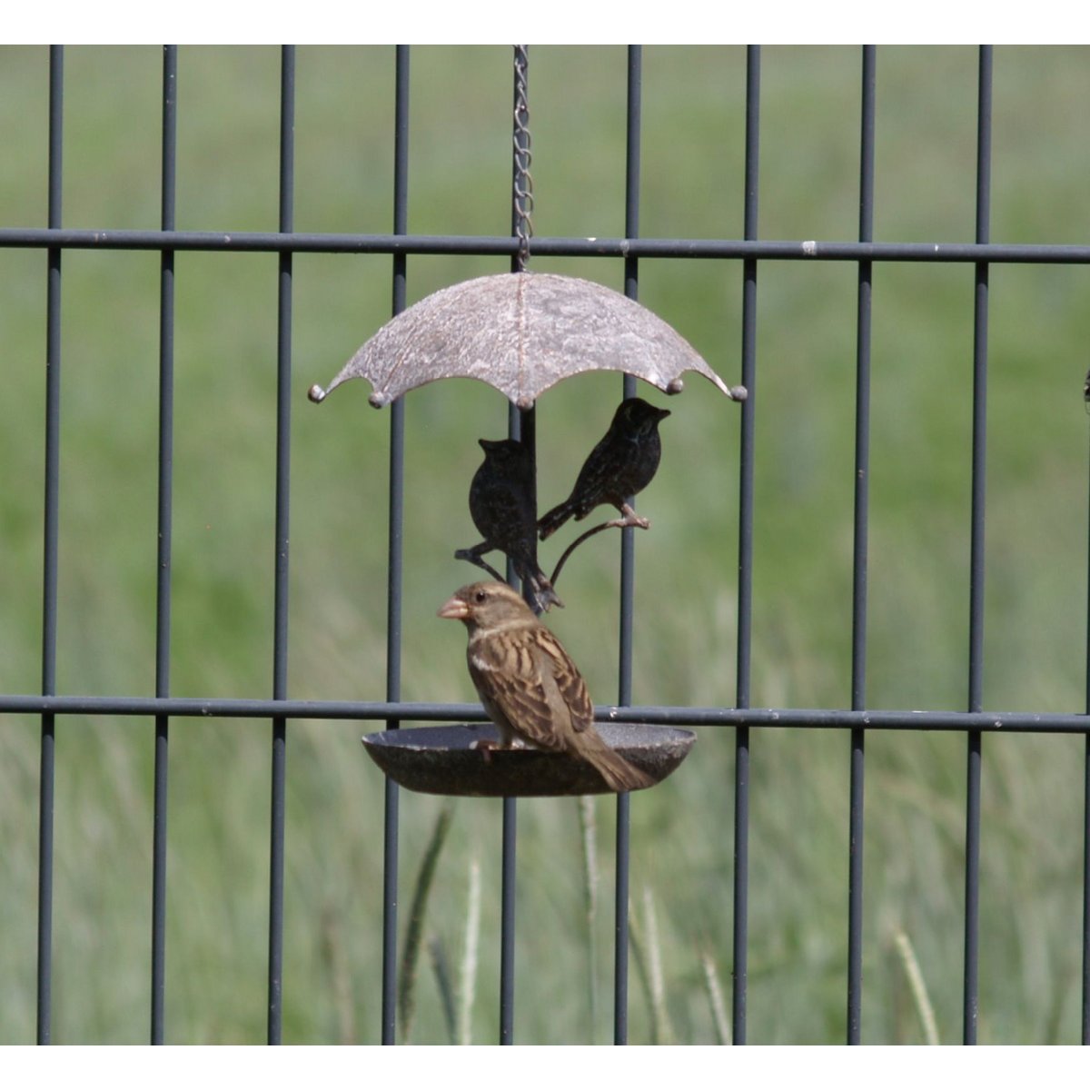 Vogelbad zum h„ngen aus Metall - rund