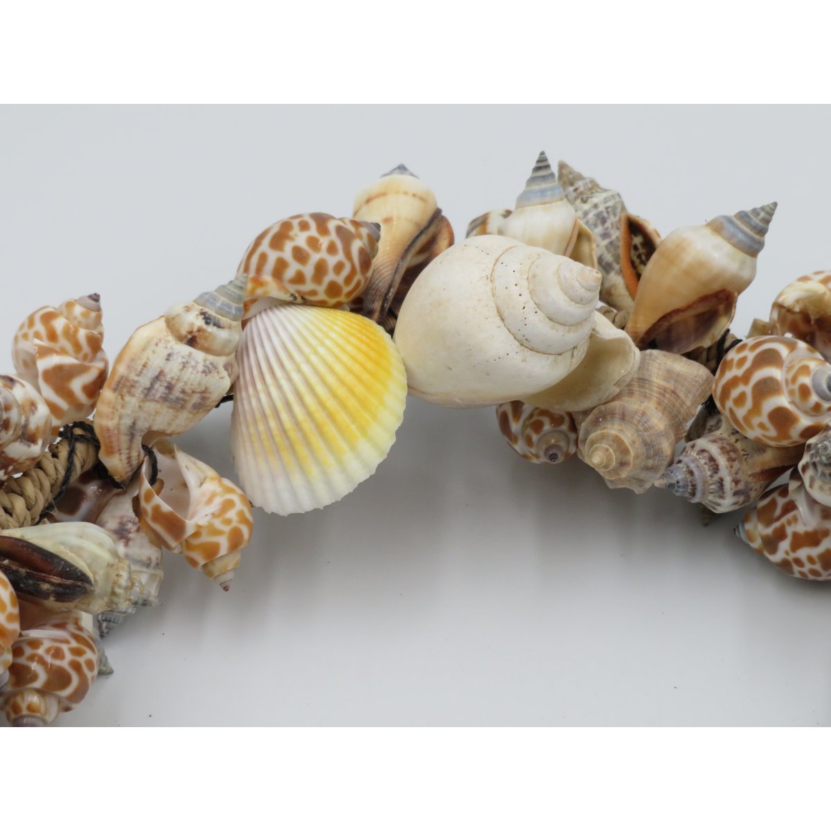 Muschelkranz 25 cm