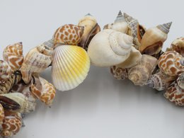 Muschelkranz 25 cm