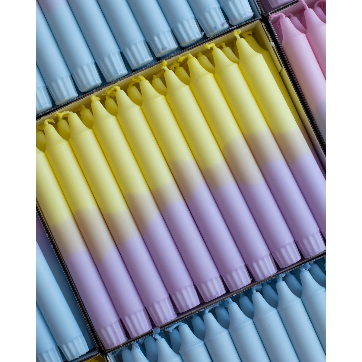 Taper kaarsen - twee/kleurig pastel