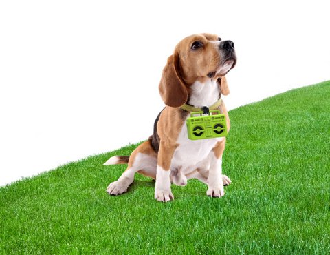 Poop Bag Dispenser