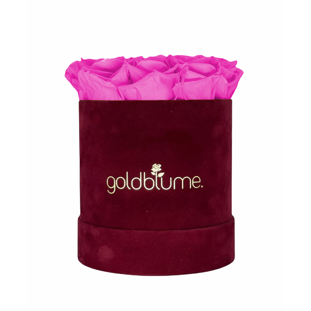 Collection Velours Bordeaux
