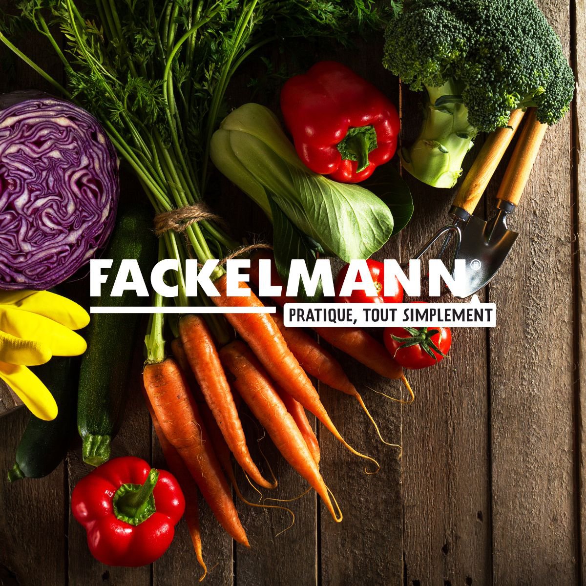 Set van 2 roestvrijstalen vergieten 20 cm en 26 cm Fackelmann