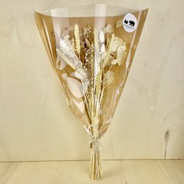 Bukiety BLOOMY Suszone kwiaty Beżowy