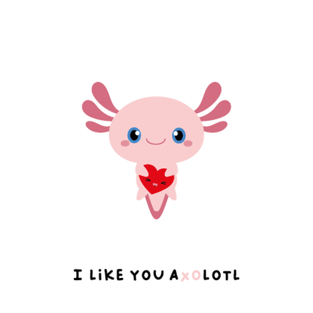 Axolotl i like you a lotl