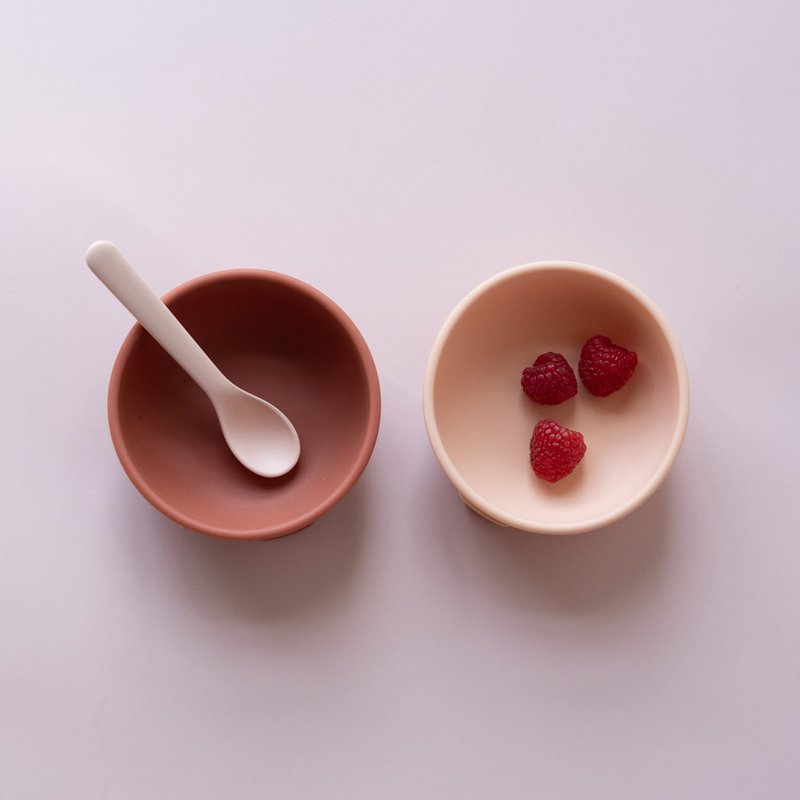 ENSEMBLE DE BOL D'ASPIRATION - BLUSH / TERRACOTTA