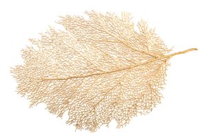 Gold leaf plate