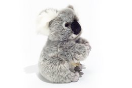 Koala 21 cm - knuffel - knuffel