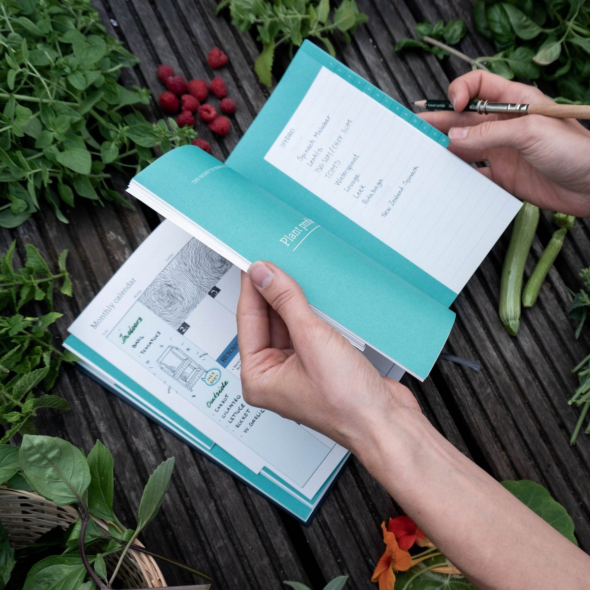 Garden Journal - Alemán