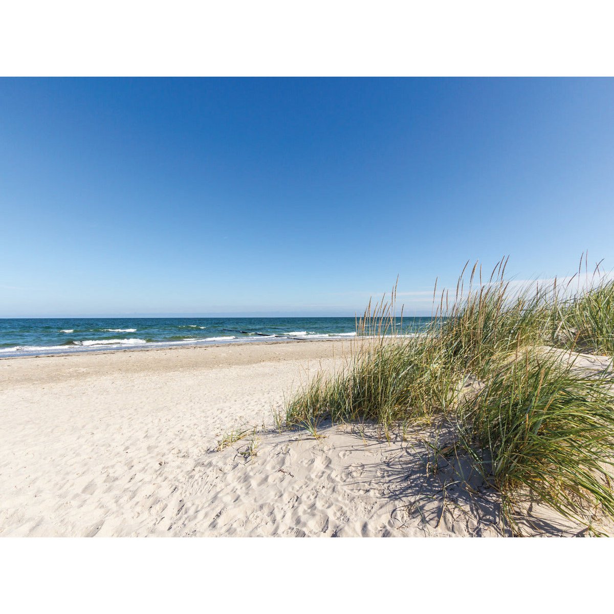 Lavagna magnetica - Spiaggia