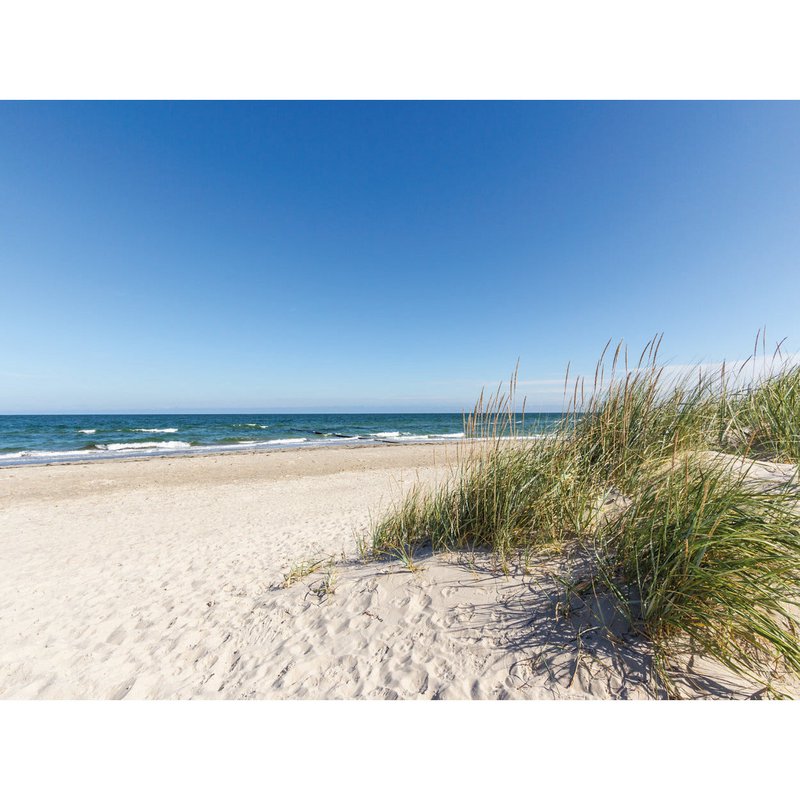 Lavagna magnetica - Spiaggia