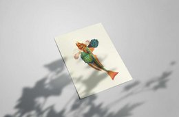 Japanese Gurnard