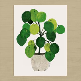Pilea Plant Art Print