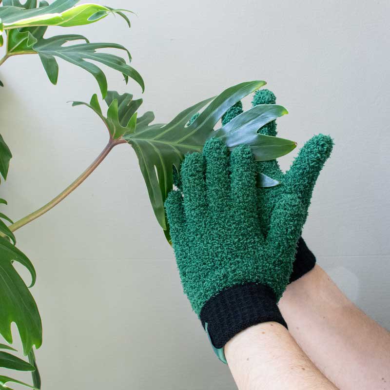 Leaf Love Gloves - Rękawiczki z mikrofibry do odkurzania roślin
