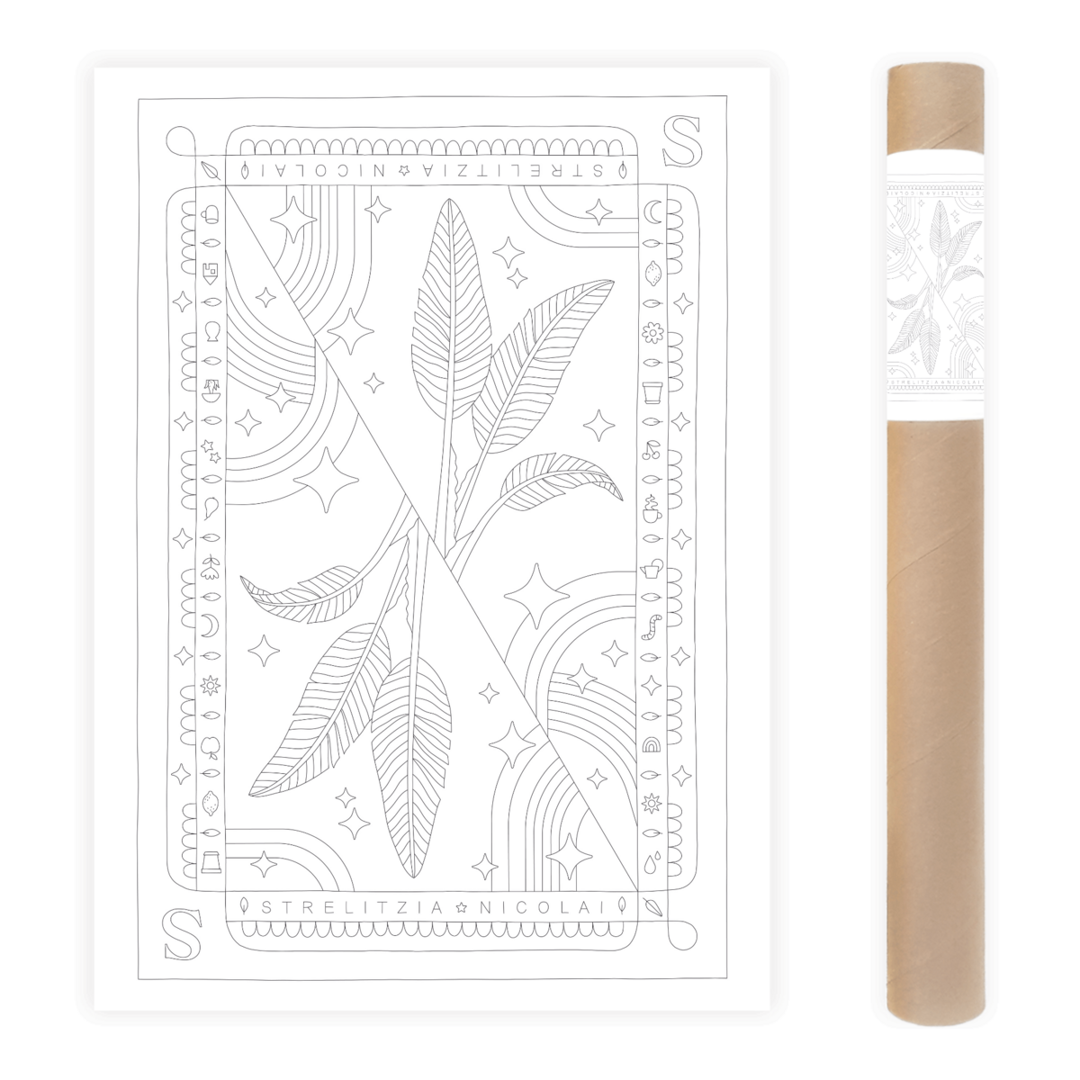Strelitzia Nicolai Coloring Poster 50x70 cm