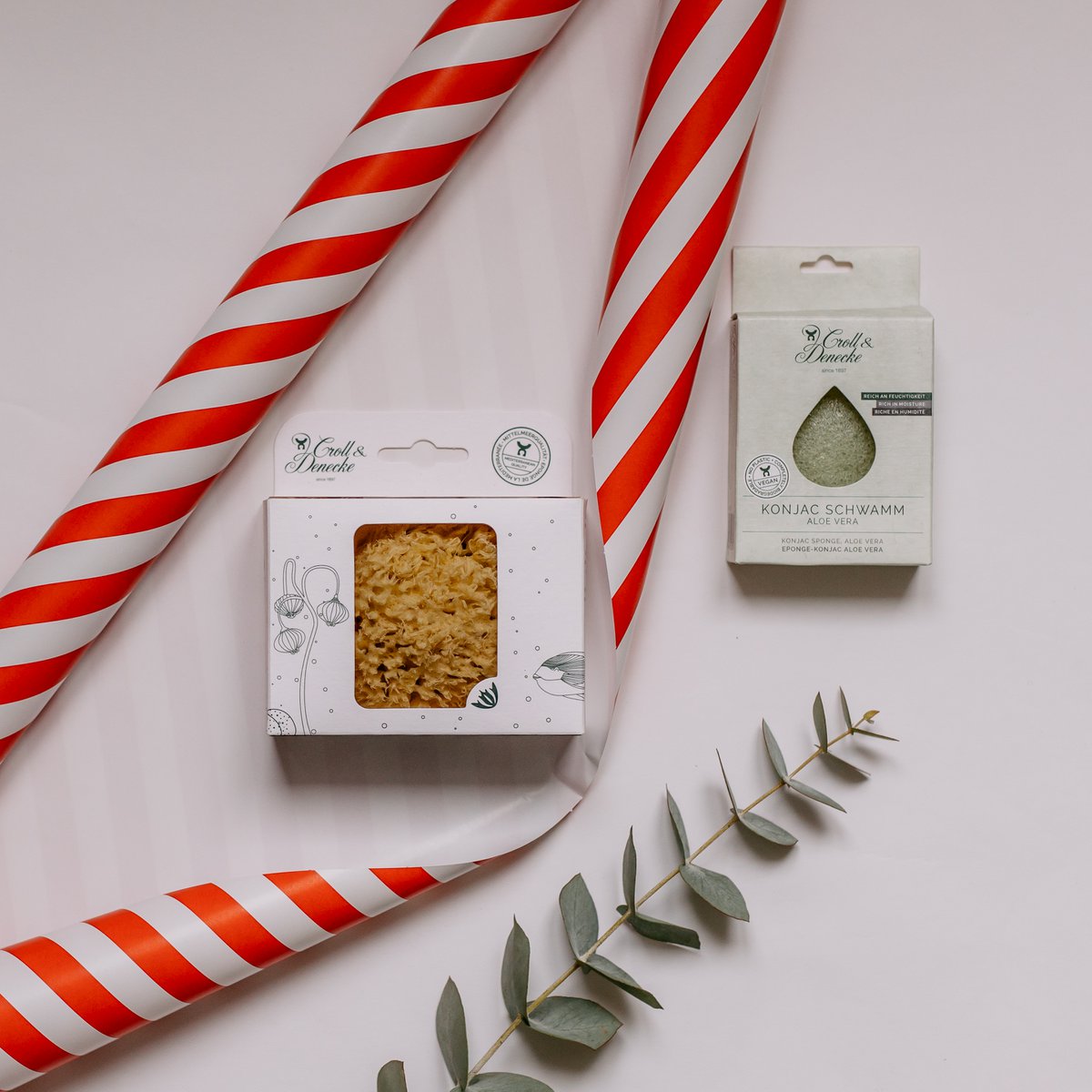 Konjac facial sponge "Aloe Vera"