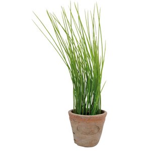 Esschert Design Chives in AT pot S