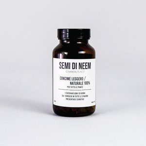 Neem seeds