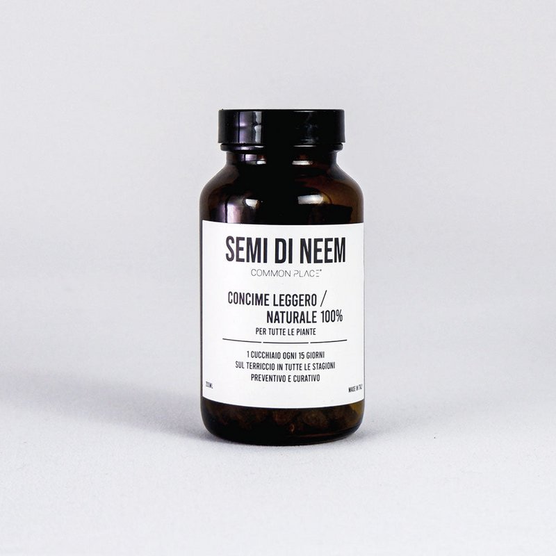 Nasiona neem