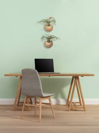 Hemisphere - Light Oak