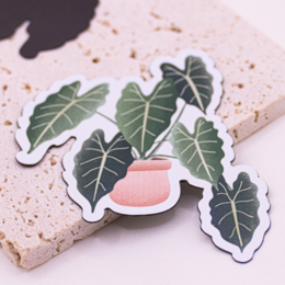 Magnet Plant Begonia Réfrigérateur Aimant Plante d’intérieur - Cadeau Anniversaire Plante en pot