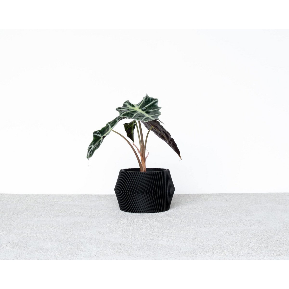 Black M - 8,5 cm inner diameter